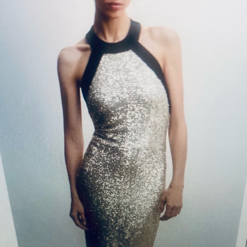 Mango Sequin Dress